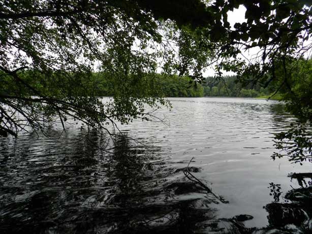 Etang