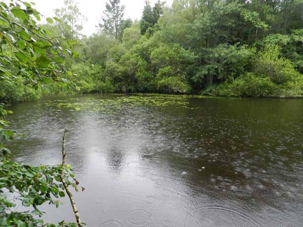 Etang